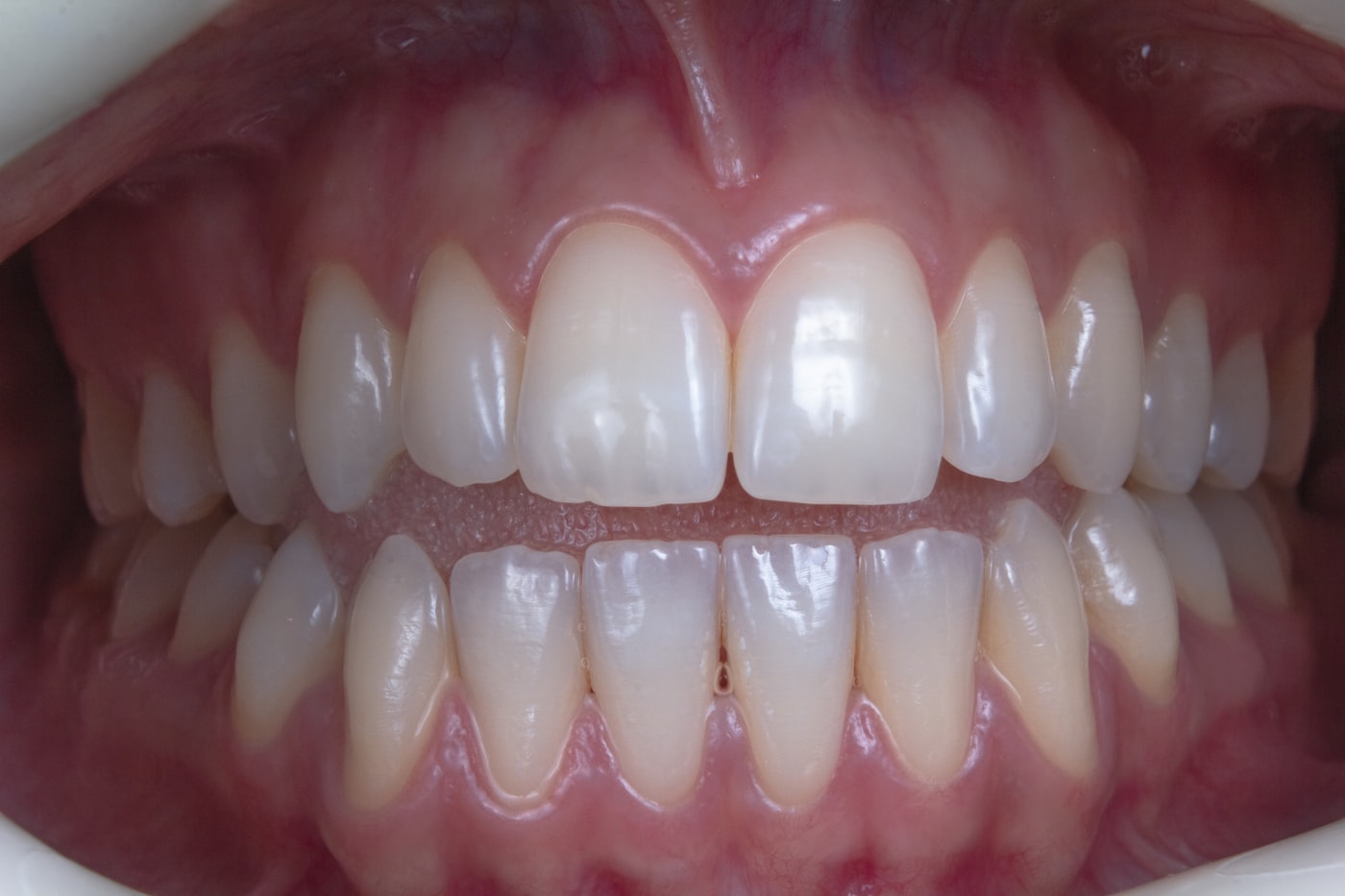 Periodontologia