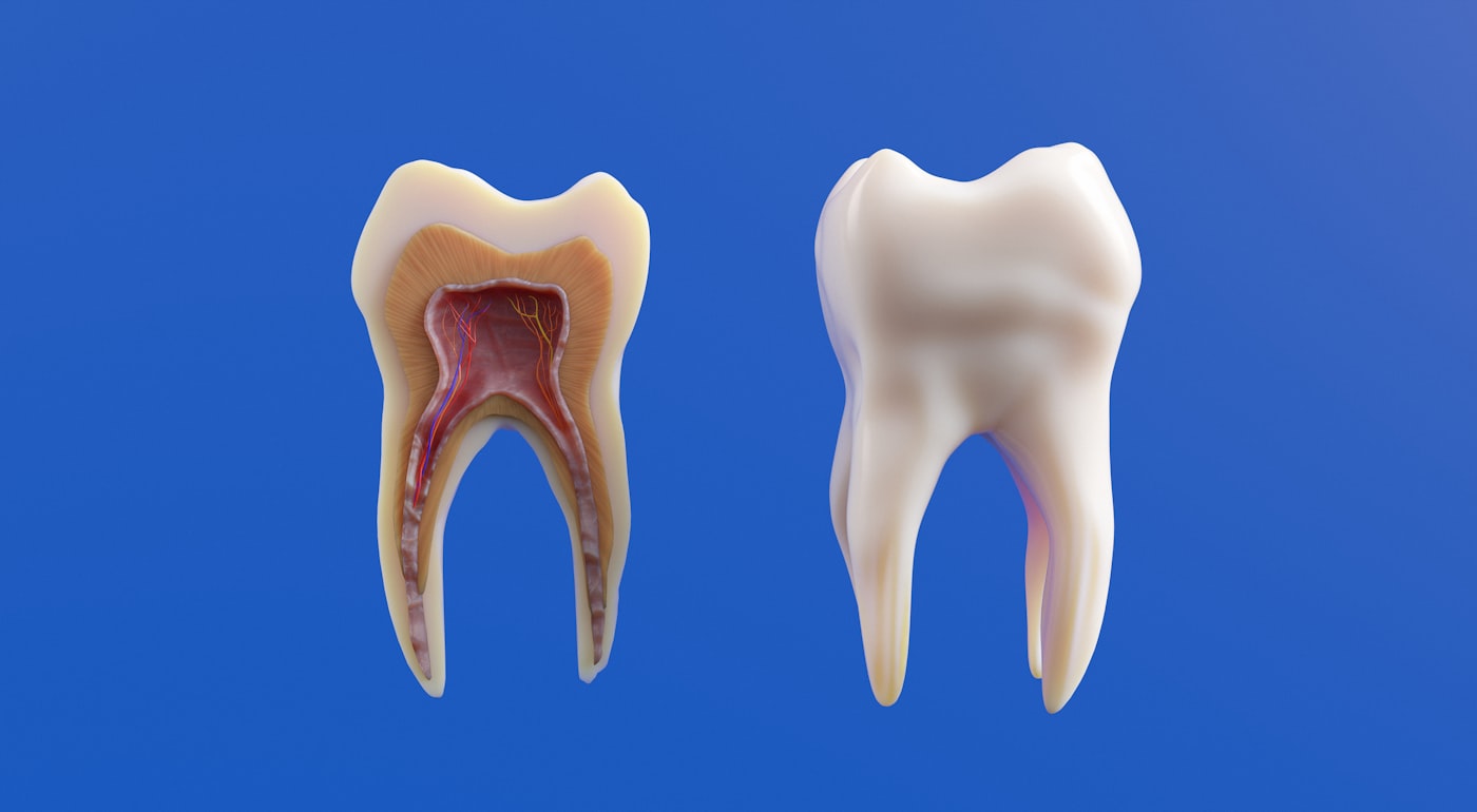 Endodontia